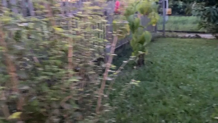 Chácara à venda de 1.900 m² em Santo Antônio da Patrulha, RS, Brasil