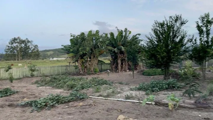 Chácara à venda de 1.900 m² em Santo Antônio da Patrulha, RS, Brasil