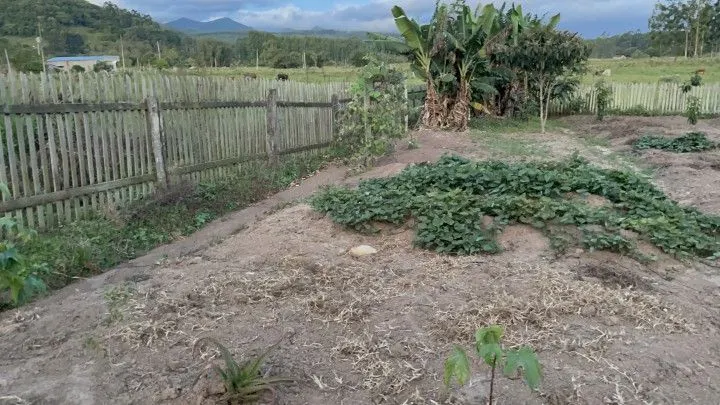 Chácara à venda de 1.900 m² em Santo Antônio da Patrulha, RS, Brasil