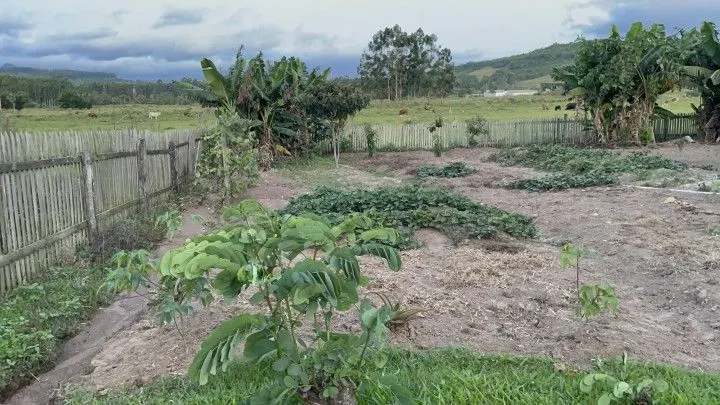 Chácara à venda de 1.900 m² em Santo Antônio da Patrulha, RS, Brasil