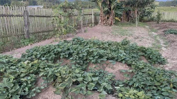 Chácara à venda de 1.900 m² em Santo Antônio da Patrulha, RS, Brasil