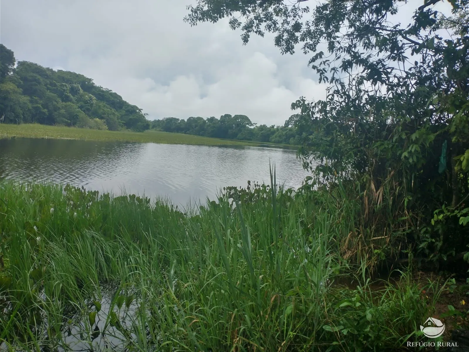 Farm for sale of 1,520 acres in Patos de Minas, MG, Brazil