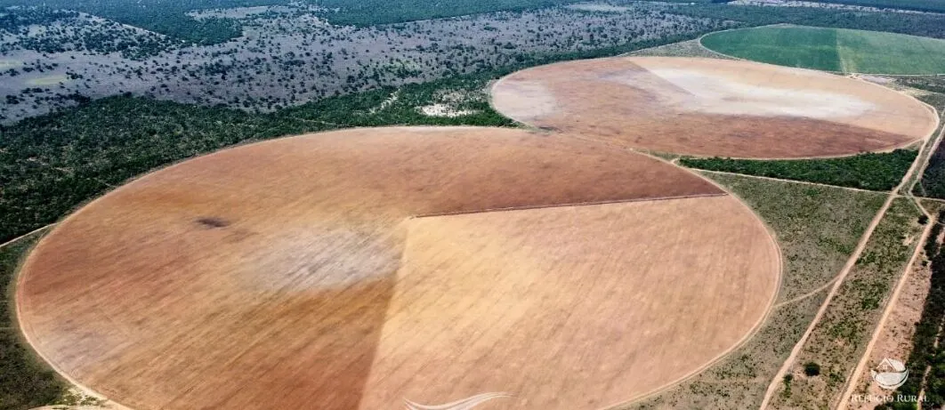 Farm for sale of 1,520 acres in Patos de Minas, MG, Brazil