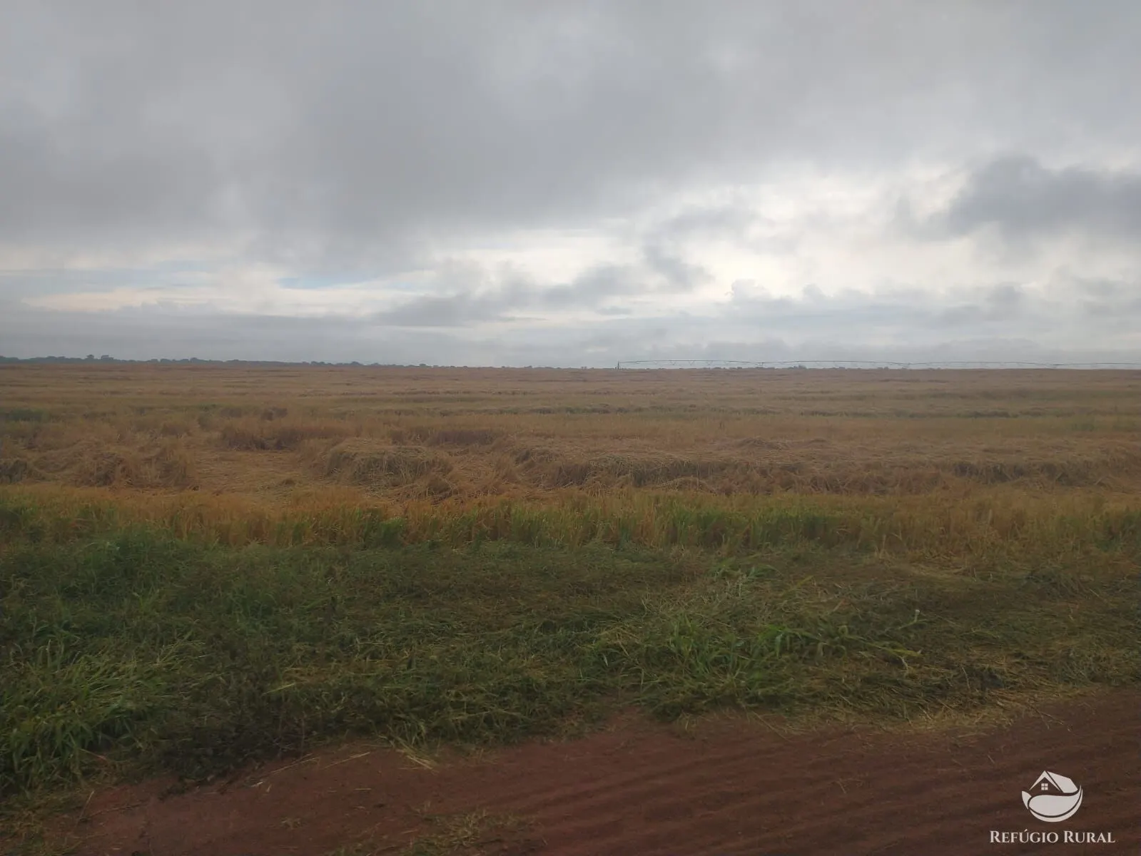Farm for sale of 1,520 acres in Patos de Minas, MG, Brazil