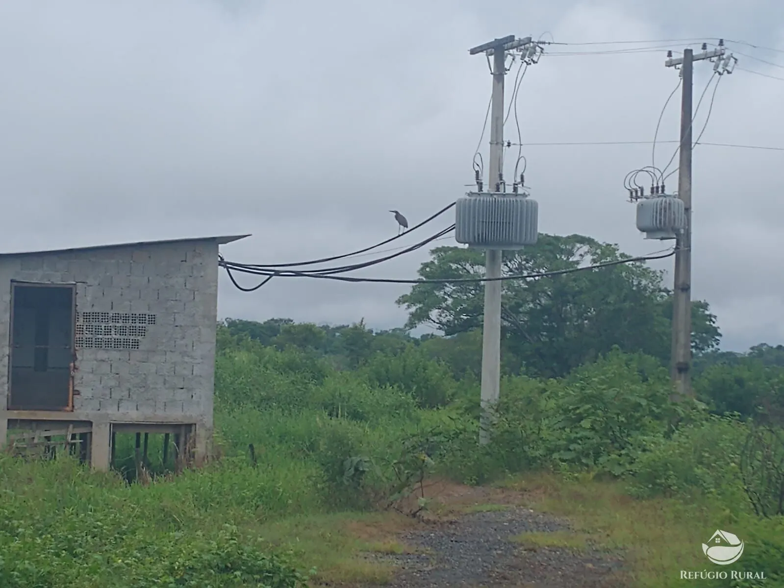 Farm for sale of 1,520 acres in Patos de Minas, MG, Brazil