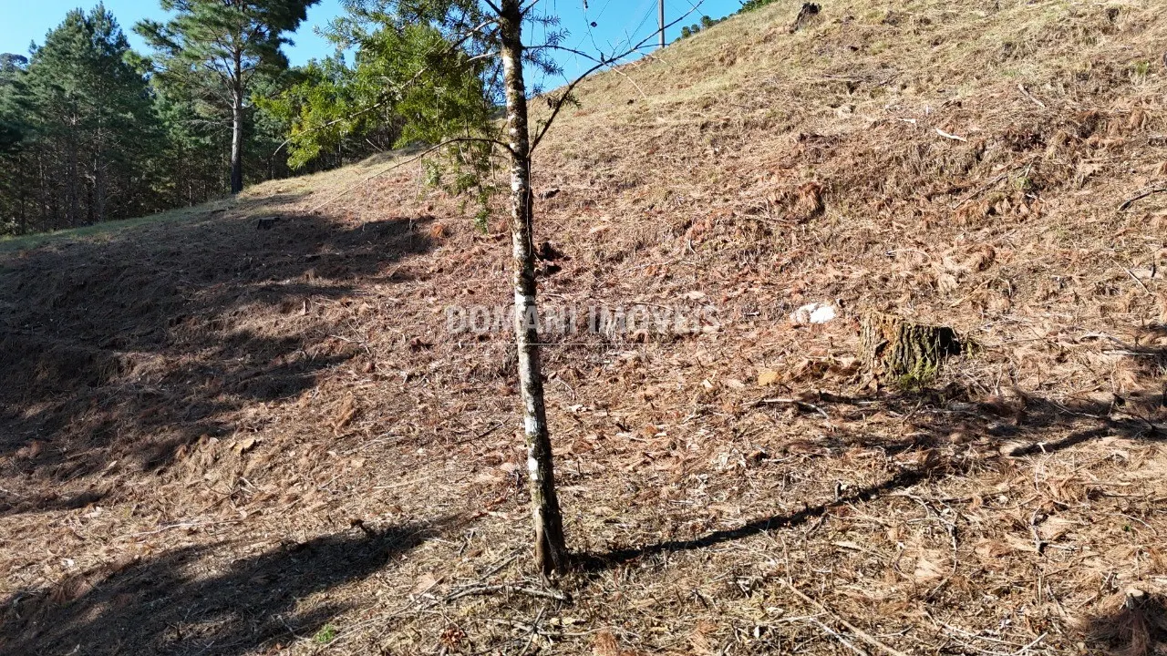 Plot for sale of 1,060 m² in Campos do Jordão, SP, Brazil