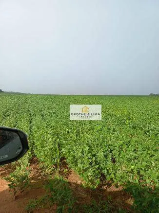 Fazenda à venda de 697 ha em Araguaína, TO, Brasil