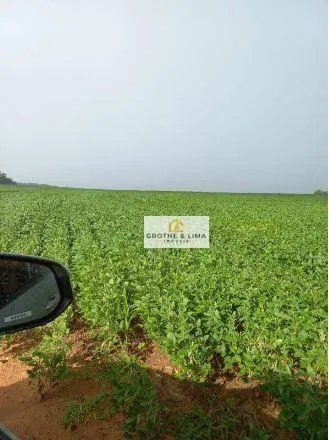 Fazenda à venda de 697 ha em Araguaína, TO, Brasil