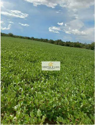 Fazenda à venda de 697 ha em Araguaína, TO, Brasil