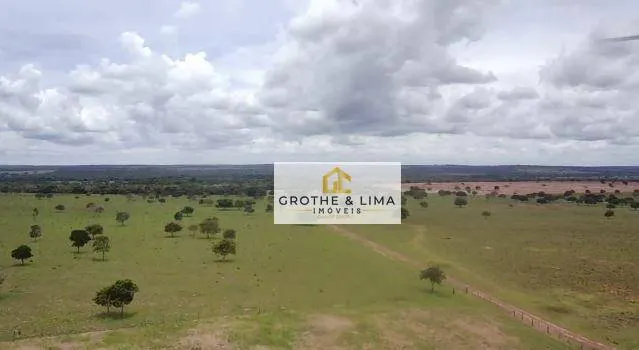 Fazenda à venda de 697 ha em Araguaína, TO, Brasil