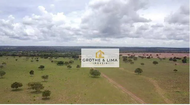 Fazenda à venda de 697 ha em Araguaína, TO, Brasil