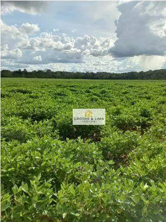 Fazenda à venda de 697 ha em Araguaína, TO, Brasil