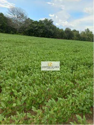Fazenda à venda de 697 ha em Araguaína, TO, Brasil