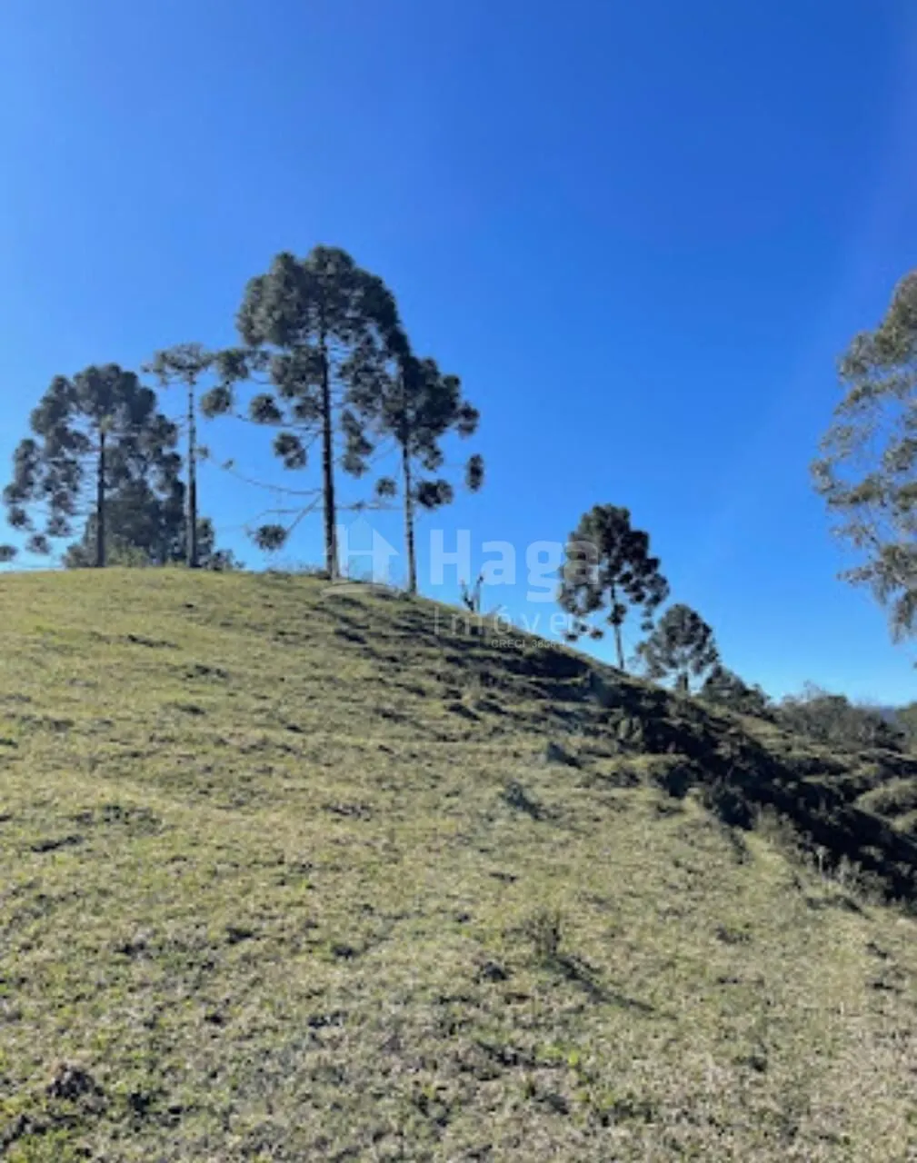 Chácara à venda de 23 ha em Major Gercino, SC, Brasil