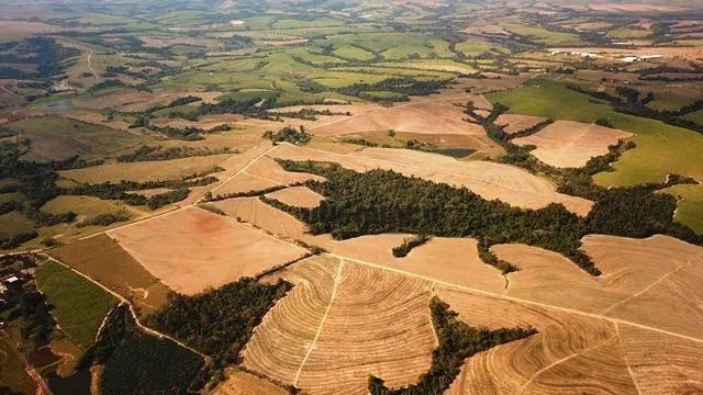 Fazenda à venda de 160 ha em Porto Feliz, SP, Brasil