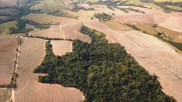 Fazenda à venda de 160 ha em Porto Feliz, SP, Brasil