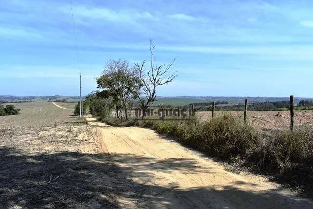 Fazenda à venda de 160 ha em Porto Feliz, SP, Brasil