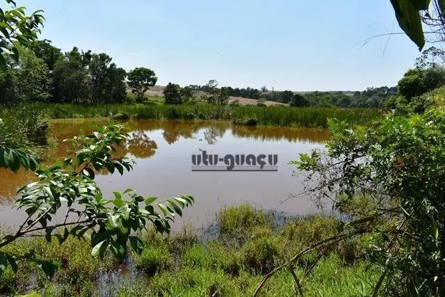 Fazenda à venda de 160 ha em Porto Feliz, SP, Brasil