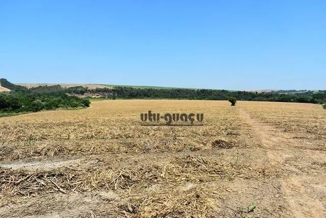 Fazenda à venda de 160 ha em Porto Feliz, SP, Brasil