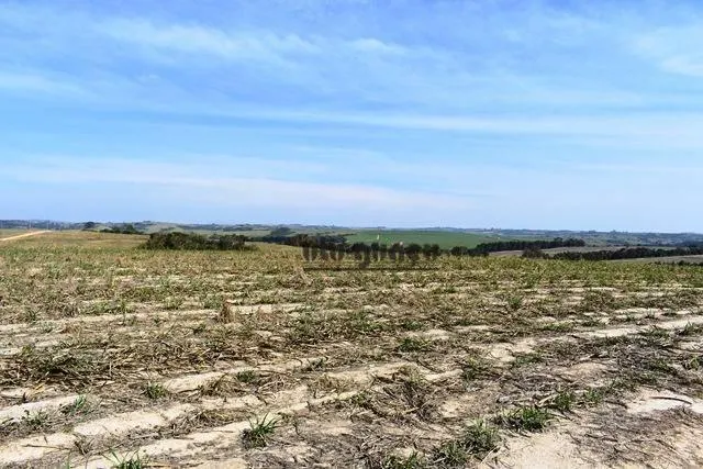 Fazenda à venda de 160 ha em Porto Feliz, SP, Brasil