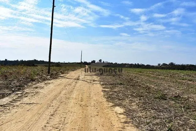 Fazenda à venda de 160 ha em Porto Feliz, SP, Brasil