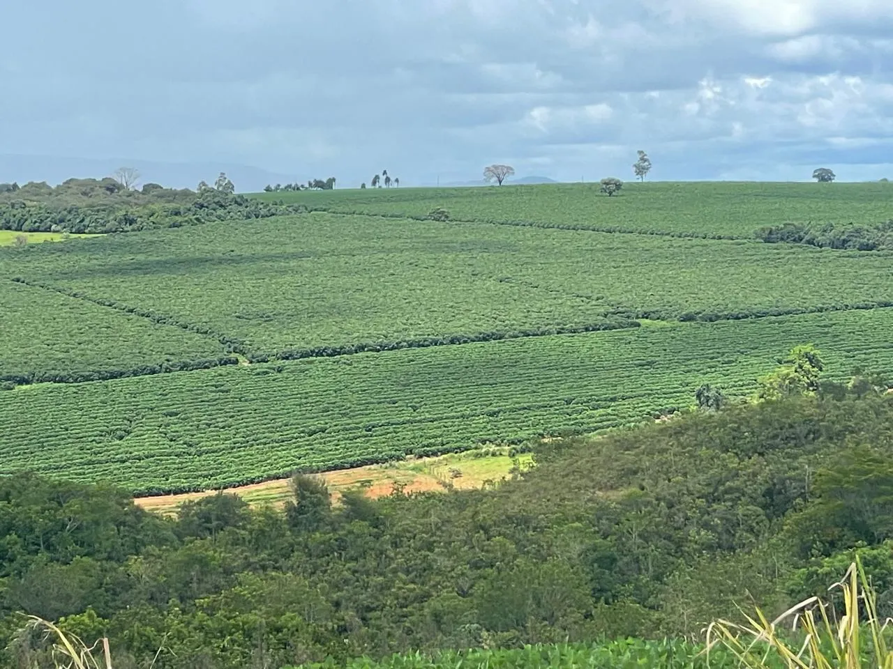 Farm for sale of 222 acres in Guimarânia, MG, Brazil