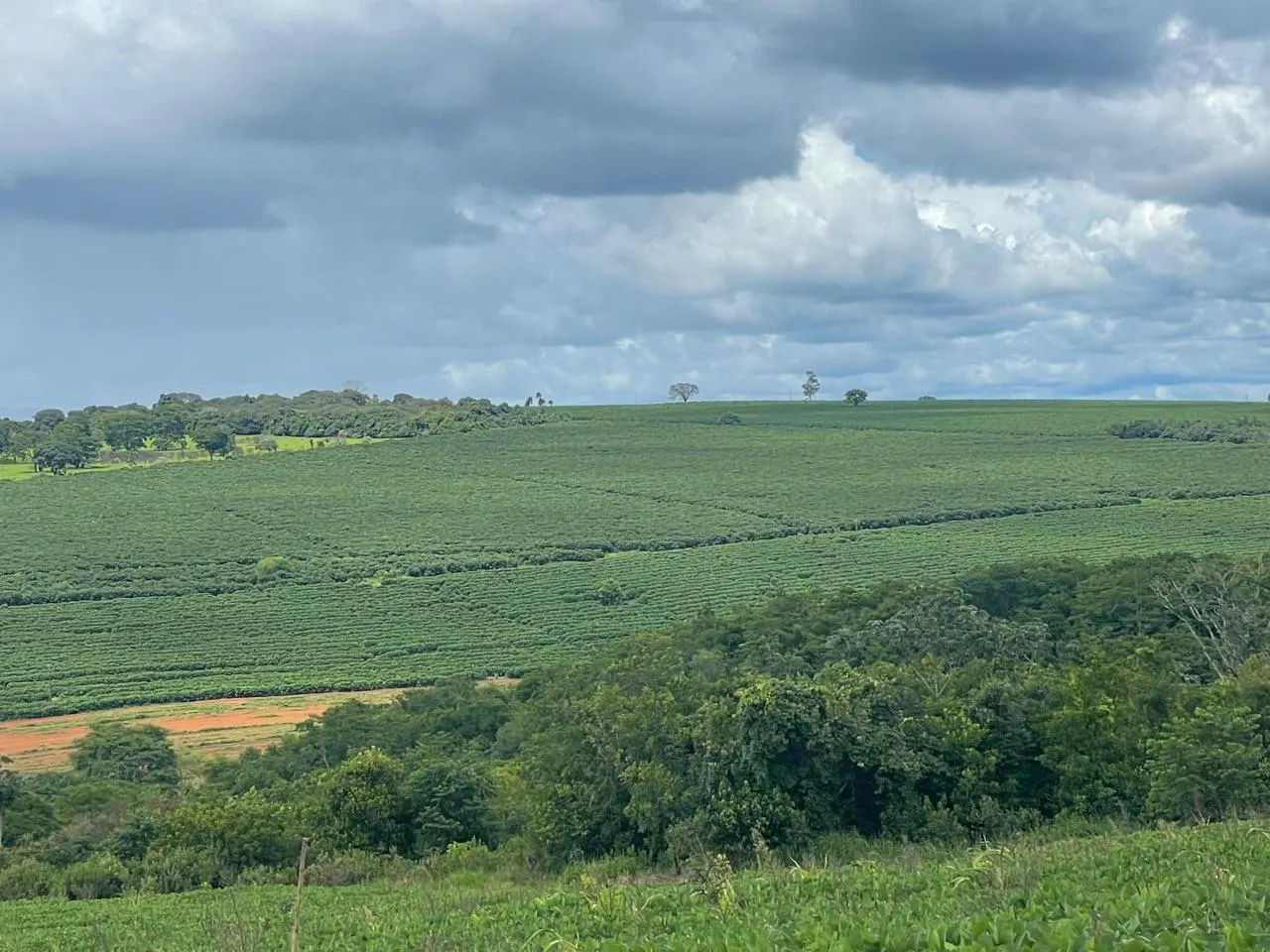 Farm for sale of 222 acres in Guimarânia, MG, Brazil