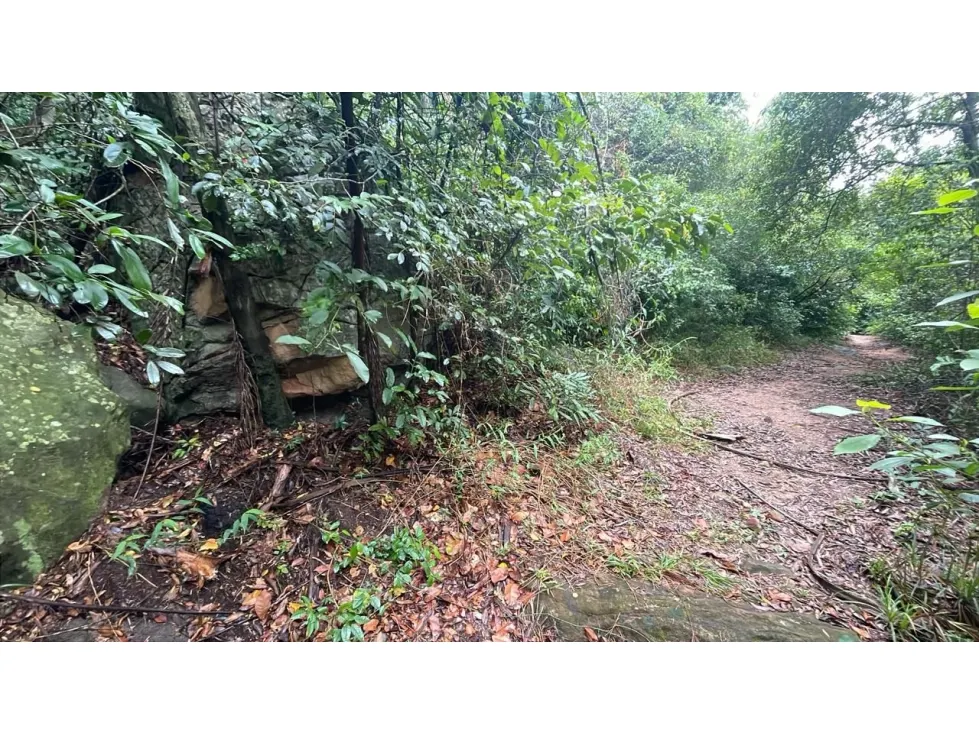 Fazenda à venda de 15 ha em Caacupé, Paraguai