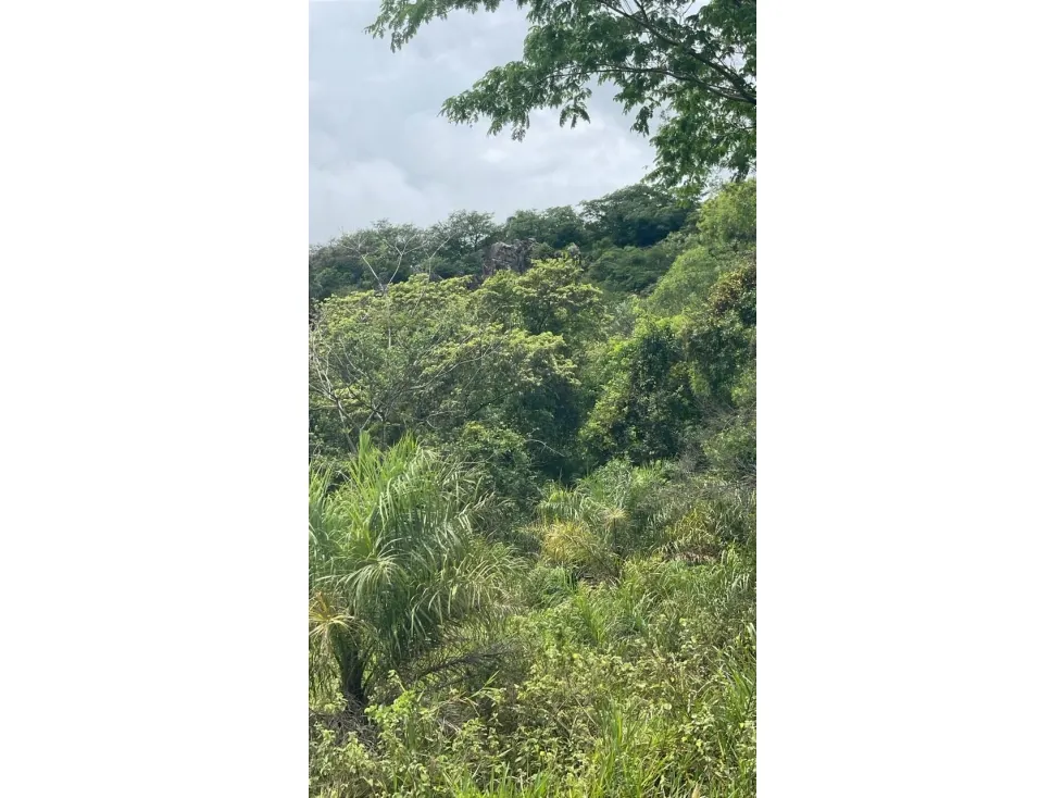 Fazenda à venda de 15 ha em Caacupé, Paraguai