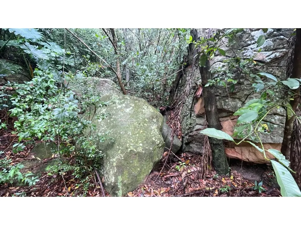 Fazenda à venda de 15 ha em Caacupé, Paraguai