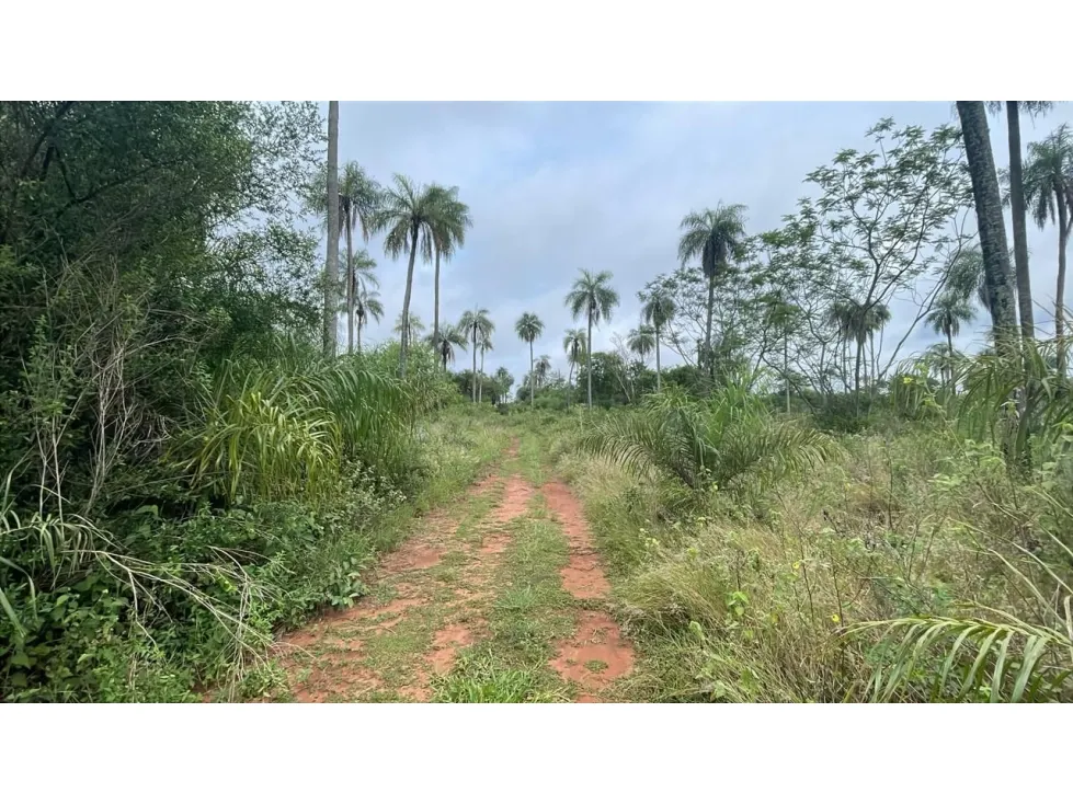 Fazenda à venda de 15 ha em Caacupé, Paraguai
