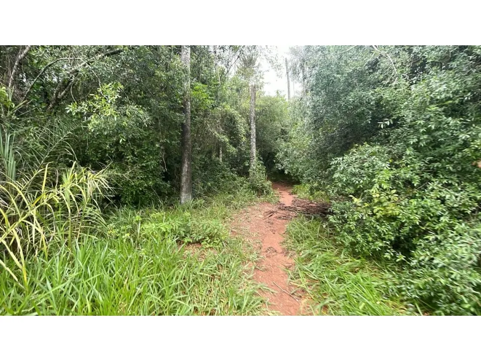 Fazenda à venda de 15 ha em Caacupé, Paraguai