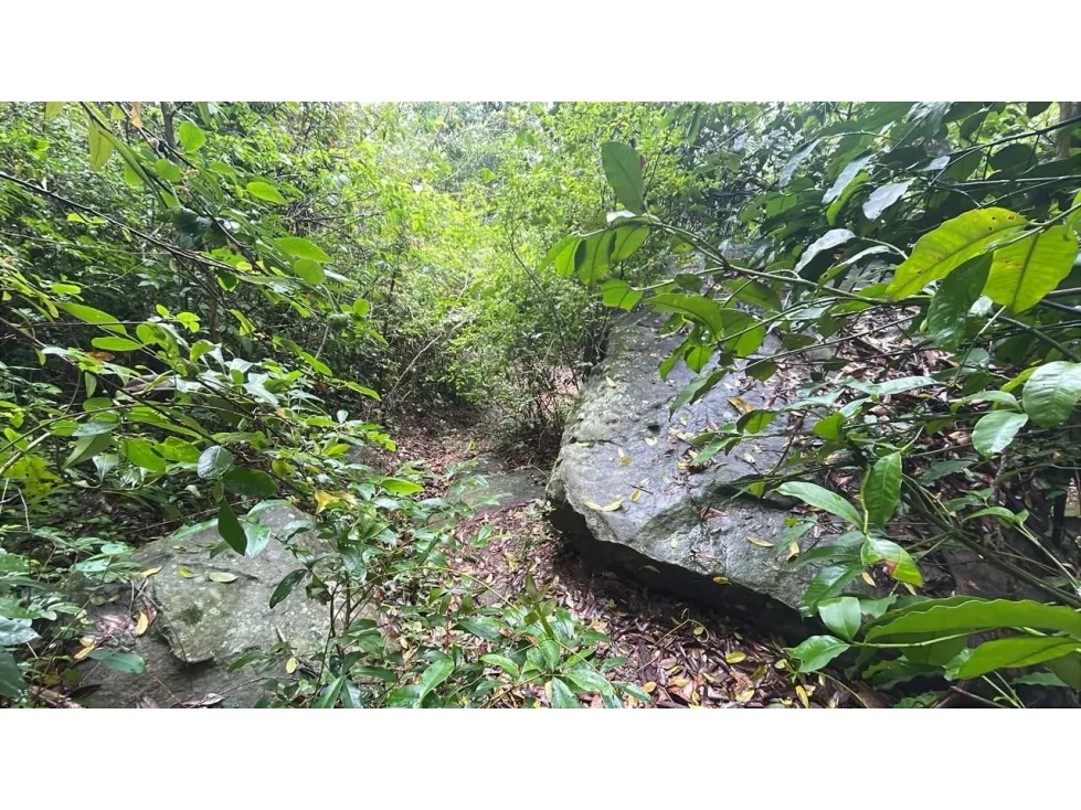 Fazenda à venda de 15 ha em Caacupé, Paraguai