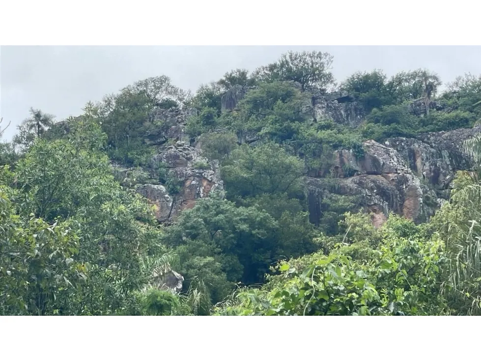 Fazenda à venda de 15 ha em Caacupé, Paraguai