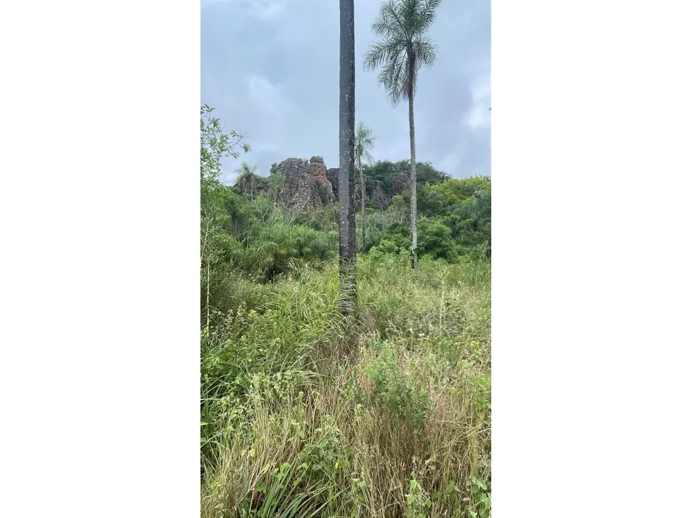 Fazenda à venda de 15 ha em Caacupé, Paraguai