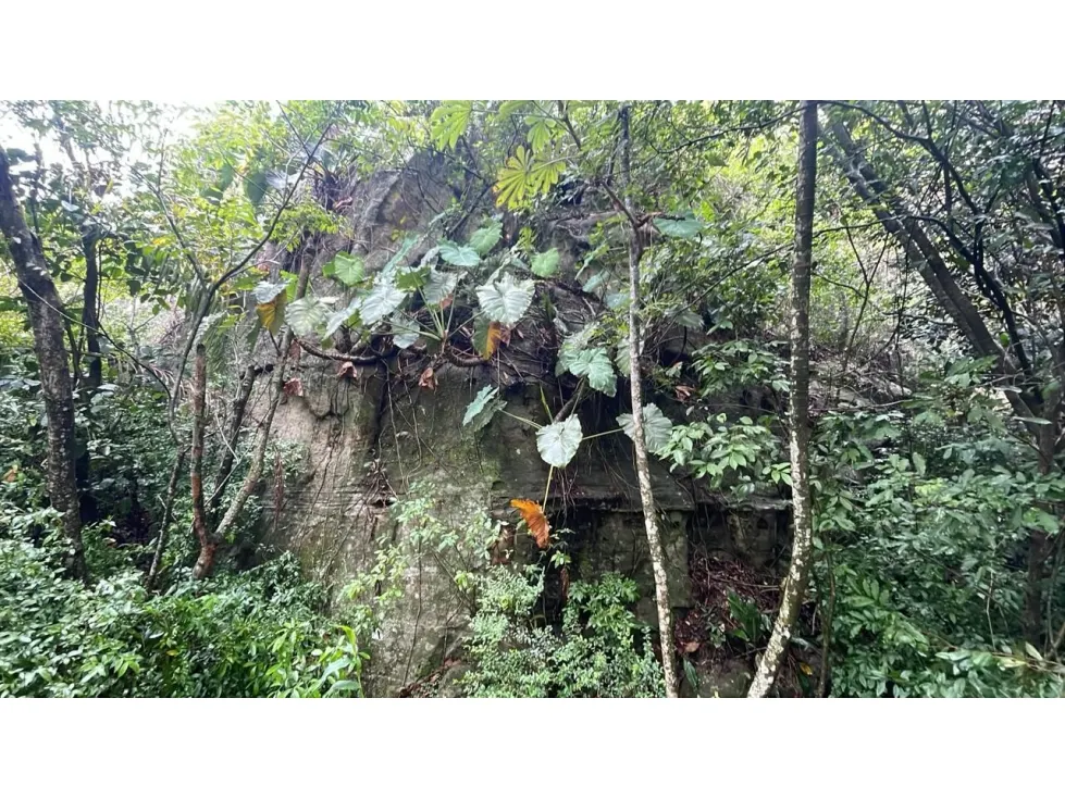 Fazenda à venda de 15 ha em Caacupé, Paraguai