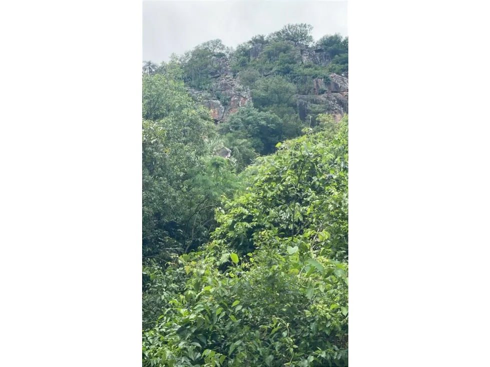 Fazenda à venda de 15 ha em Caacupé, Paraguai