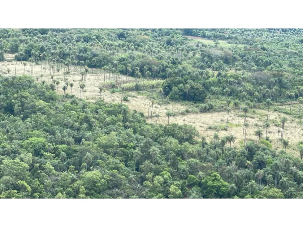 Fazenda à venda de 15 ha em Caacupé, Paraguai