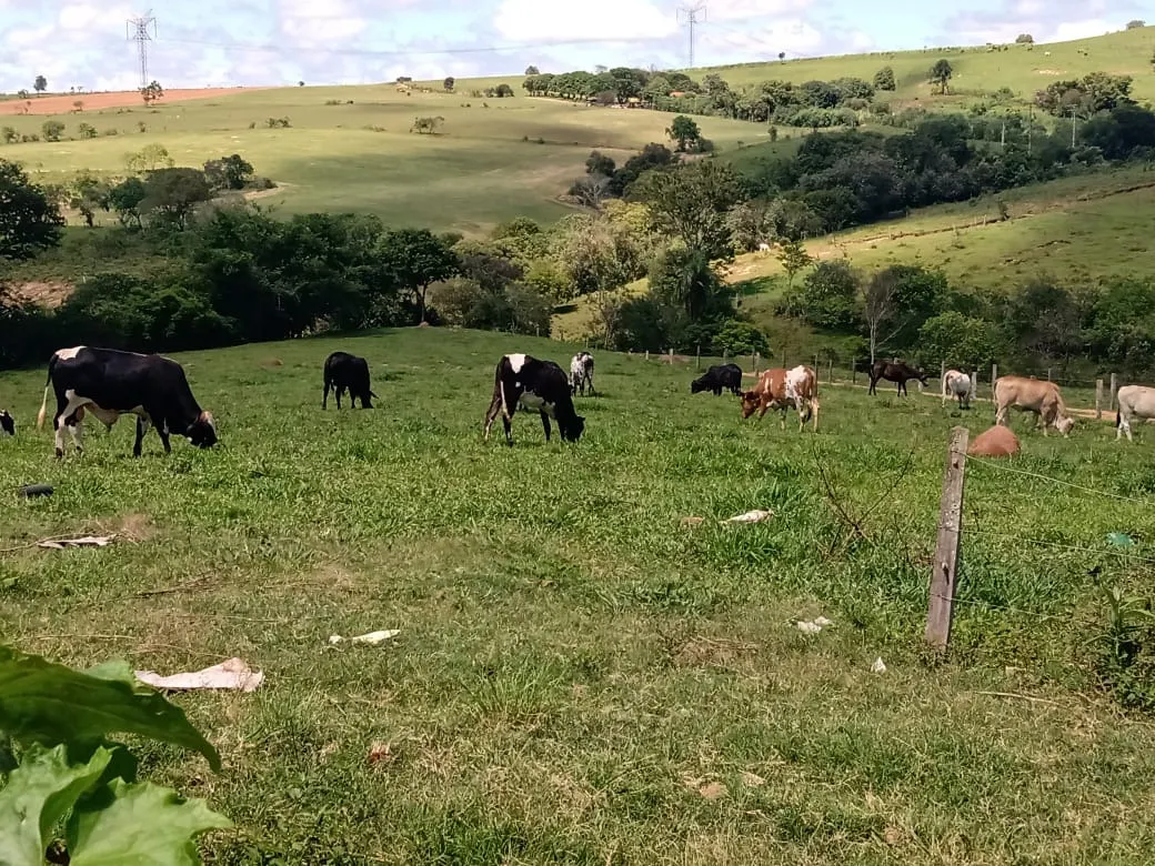 Sítio à venda de 4 ha em Angatuba, SP, Brasil