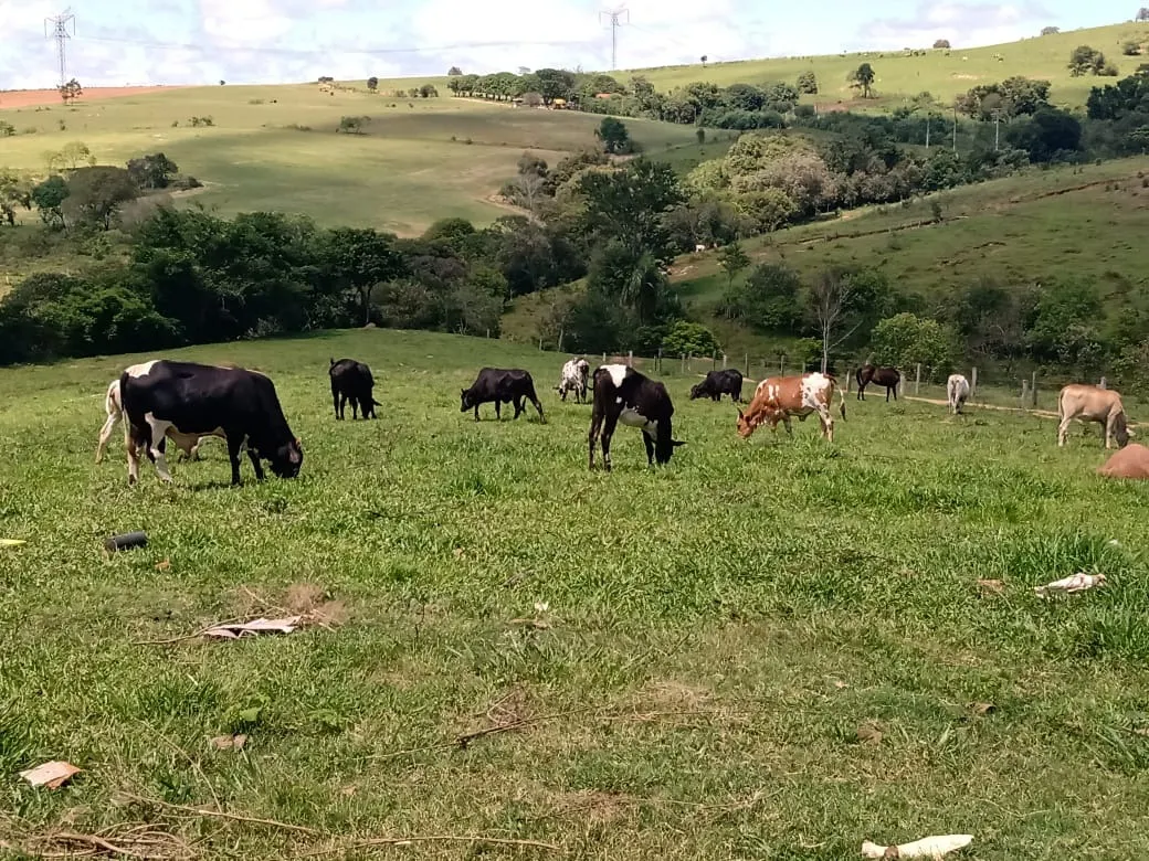Sítio à venda de 4 ha em Angatuba, SP, Brasil
