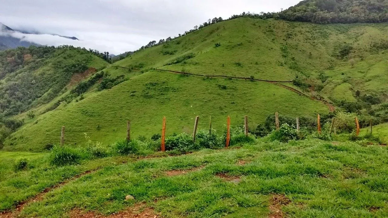 Fazenda à venda de 1.019 ha em Adrianópolis, PR, Brasil