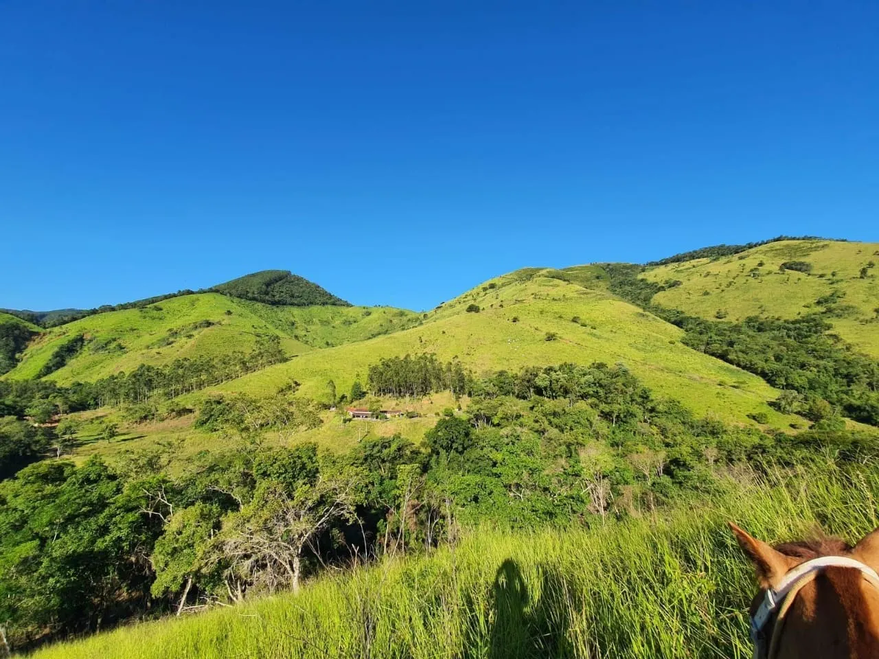 Fazenda à venda de 1.019 ha em Adrianópolis, PR, Brasil