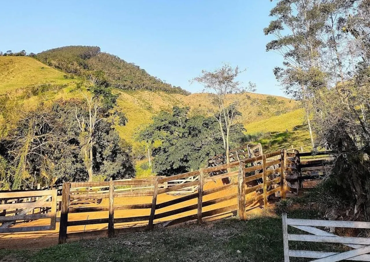 Fazenda à venda de 1.019 ha em Adrianópolis, PR, Brasil