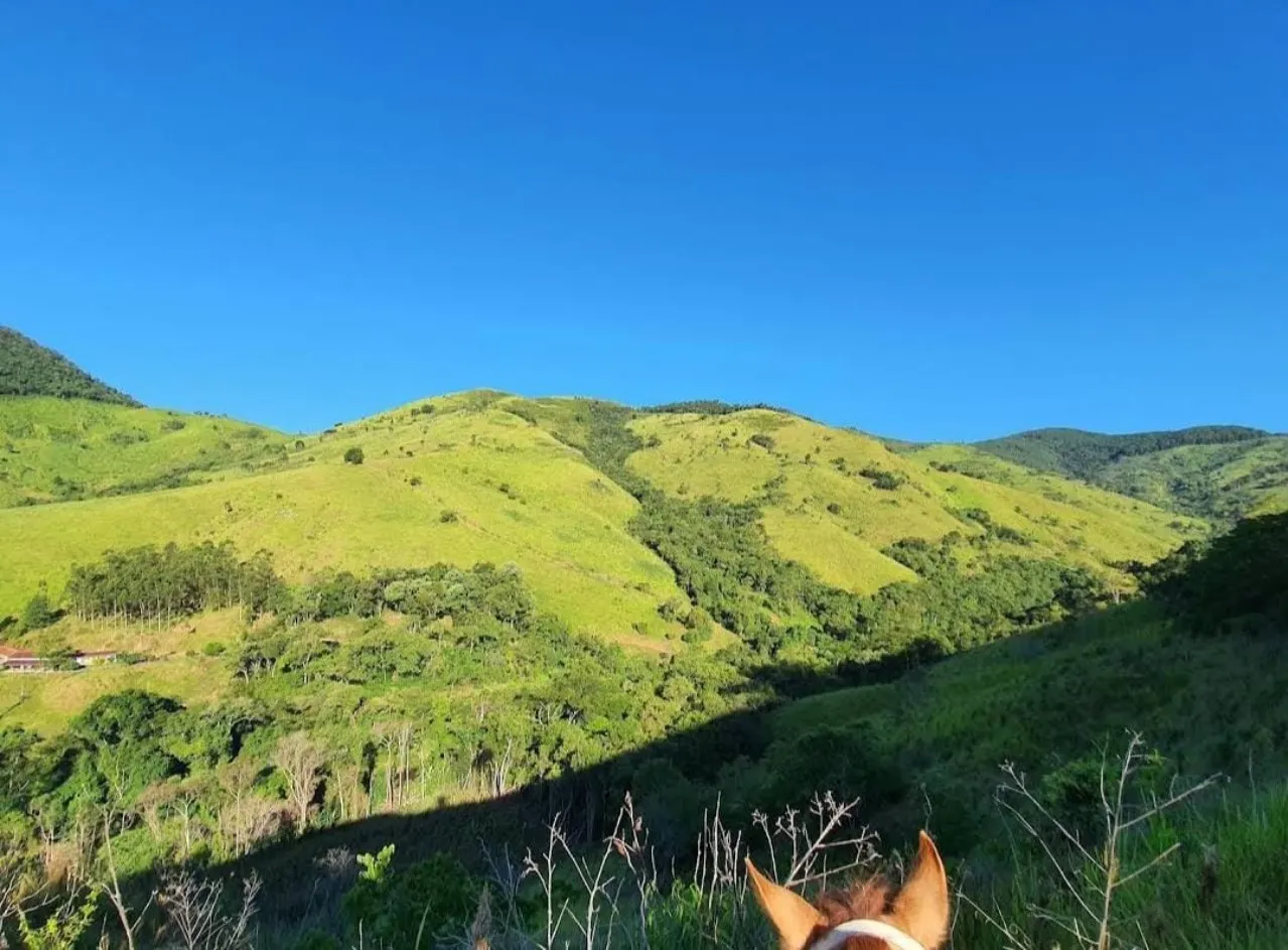 Fazenda à venda de 1.019 ha em Adrianópolis, PR, Brasil