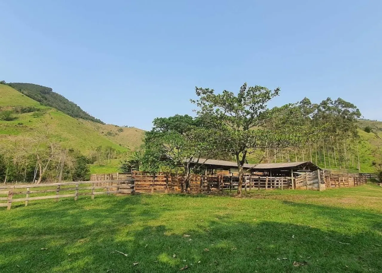 Fazenda à venda de 1.019 ha em Adrianópolis, PR, Brasil