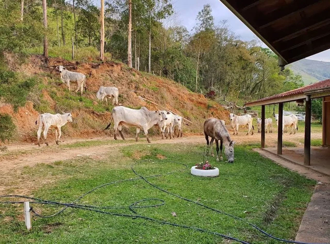 Fazenda à venda de 1.019 ha em Adrianópolis, PR, Brasil