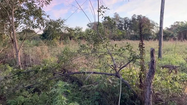 Chácara à venda de 2 ha em Santo Antônio da Patrulha, RS, Brasil