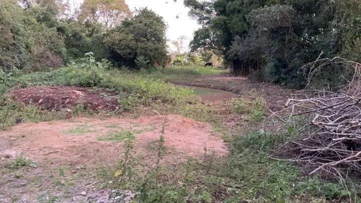 Chácara à venda de 2 ha em Santo Antônio da Patrulha, RS, Brasil