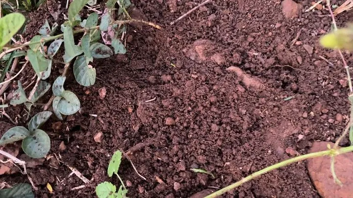 Chácara à venda de 2 ha em Santo Antônio da Patrulha, RS, Brasil
