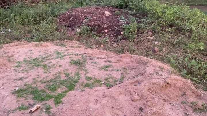Chácara à venda de 2 ha em Santo Antônio da Patrulha, RS, Brasil
